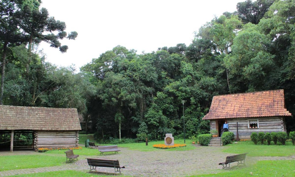 Bosque do Papa, em Curitiba. Foto: Viagem 0800