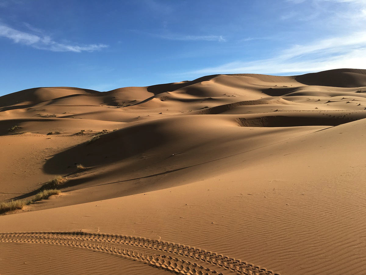 deserto saara