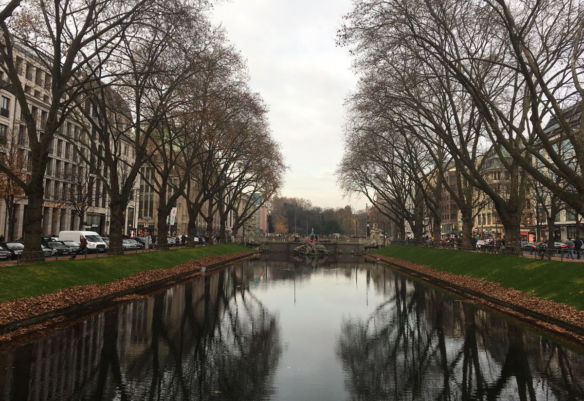 rio cercado de árvores em dusseldorf