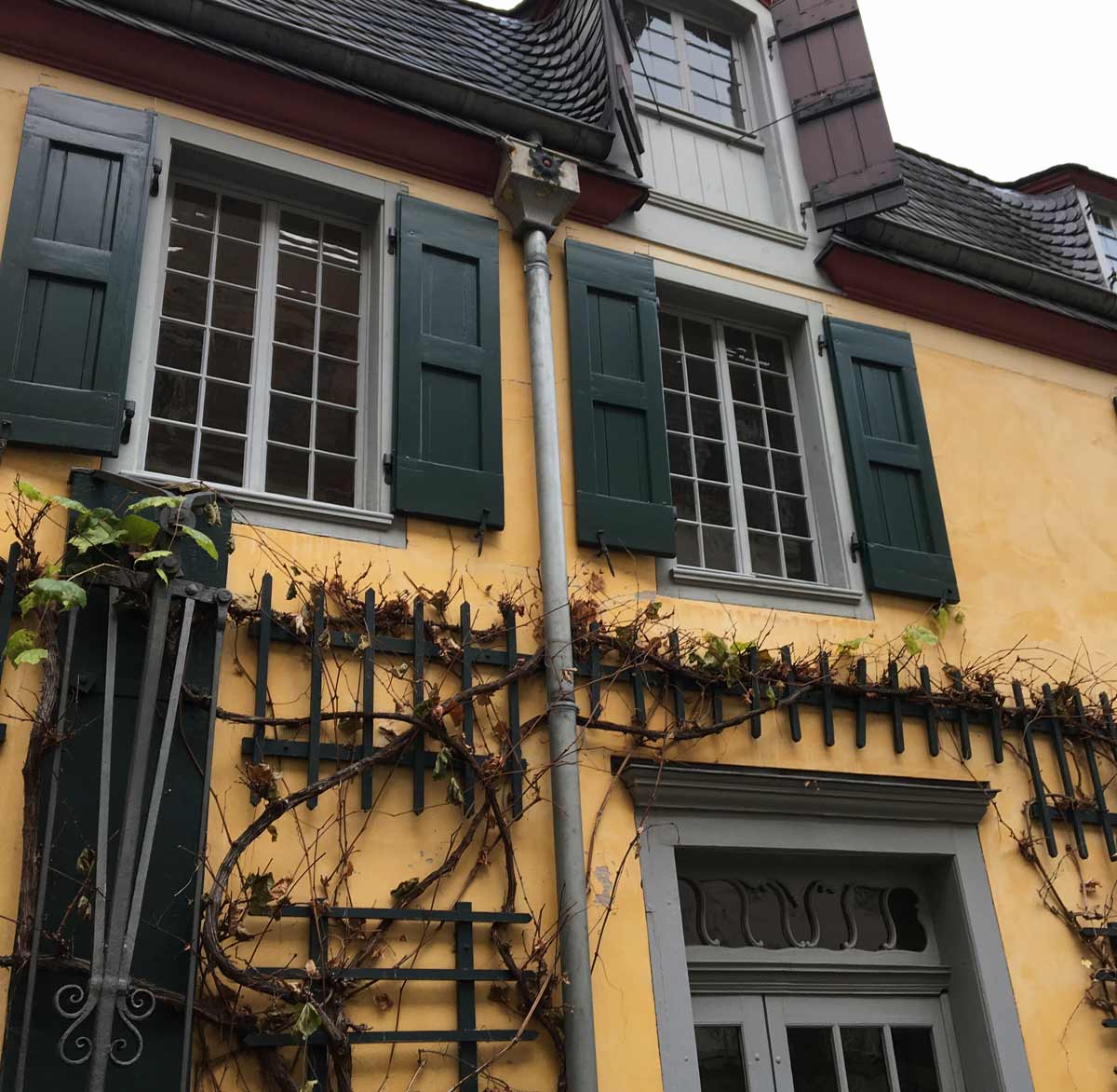 casa amarela onde morou beethoven em bonn