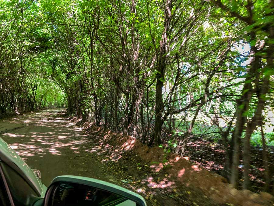 estrada interior de alagoas viagem de carro alagoas