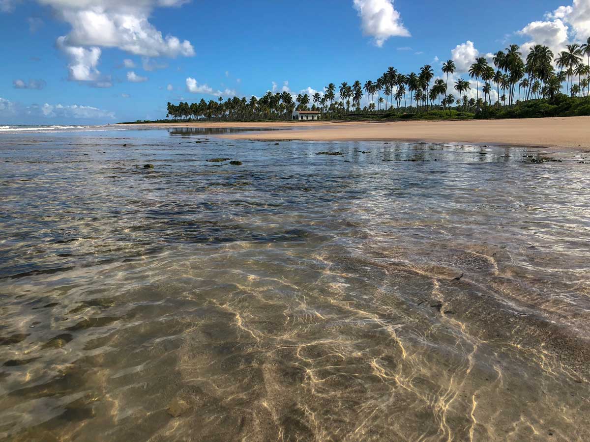 Viagem de carro em Alagoas: um roteiro para criar memórias incríveis