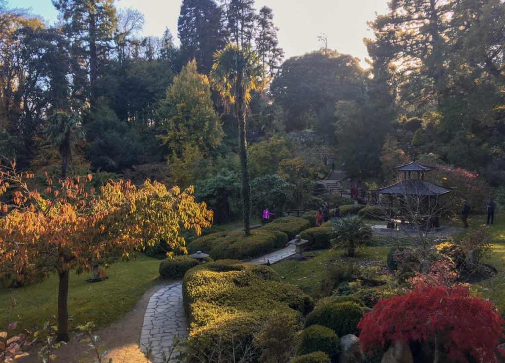vista do jardim japones do powerscourt garden