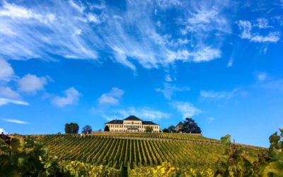 vista para um castelo na regiao vinícola de Rüdesheim, na Alemanha