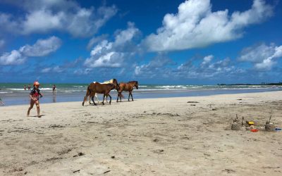 Paripueira: a praia do AL pra se apreciar em câmera lenta