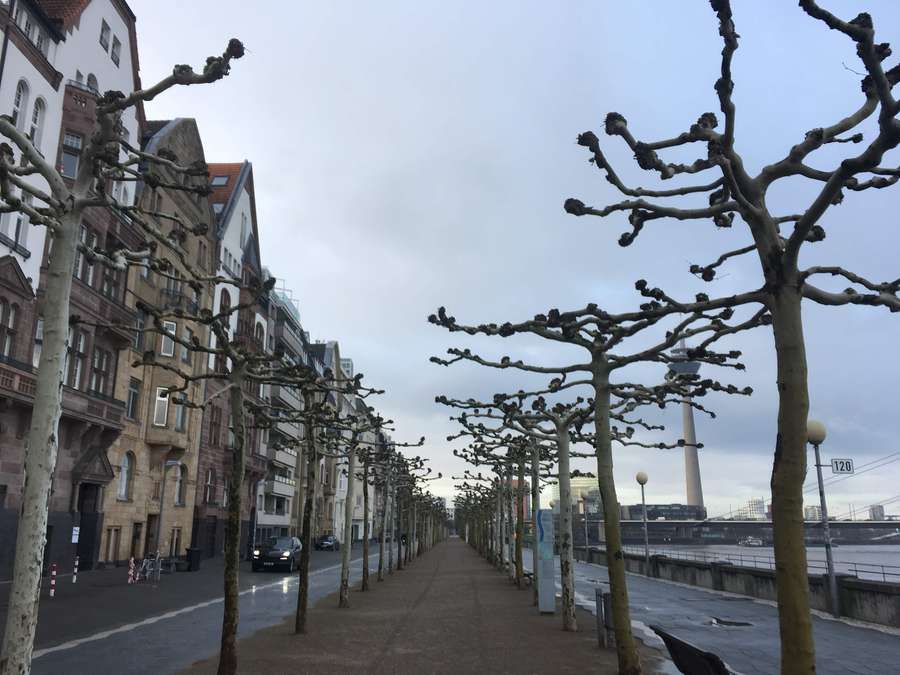 promenade do rio reno em dusseldorf, um dos pontos turísticos da cidade