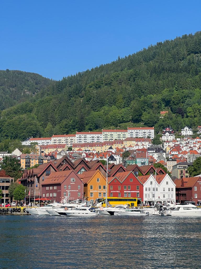 vista bryggen patrimonio unesco bergen