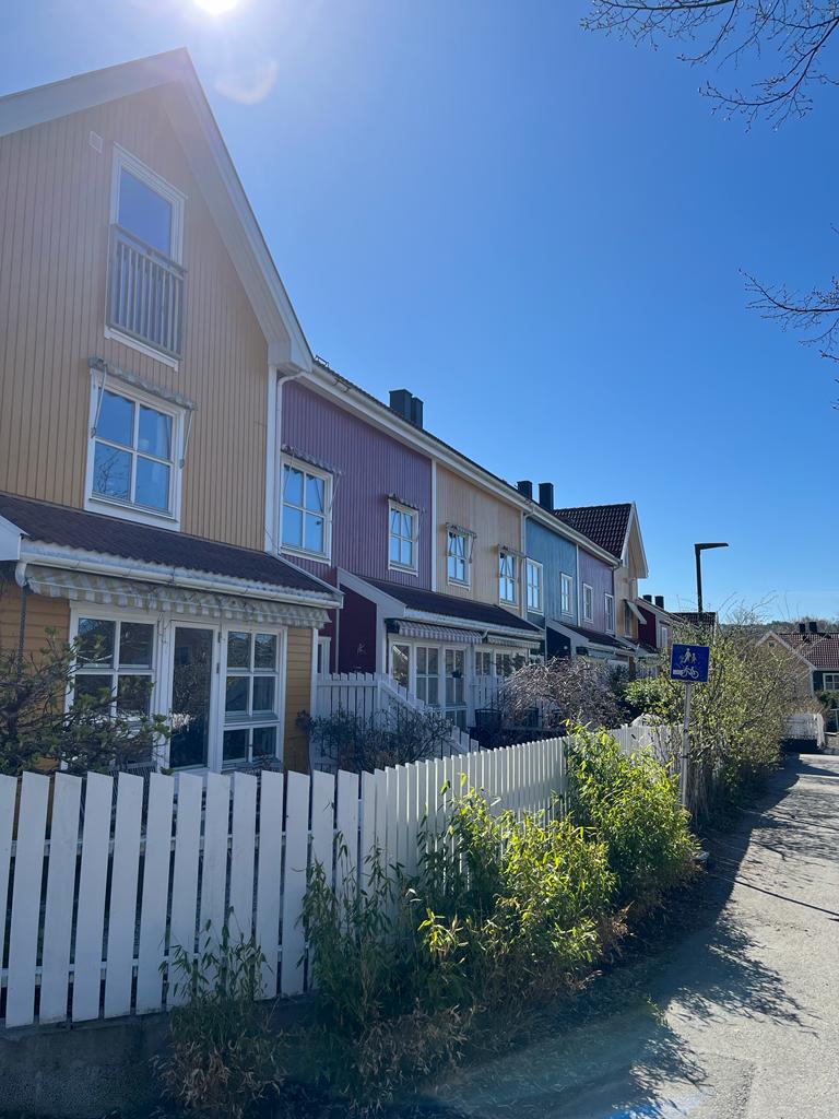 casas tradicionais noreguesas em kampen