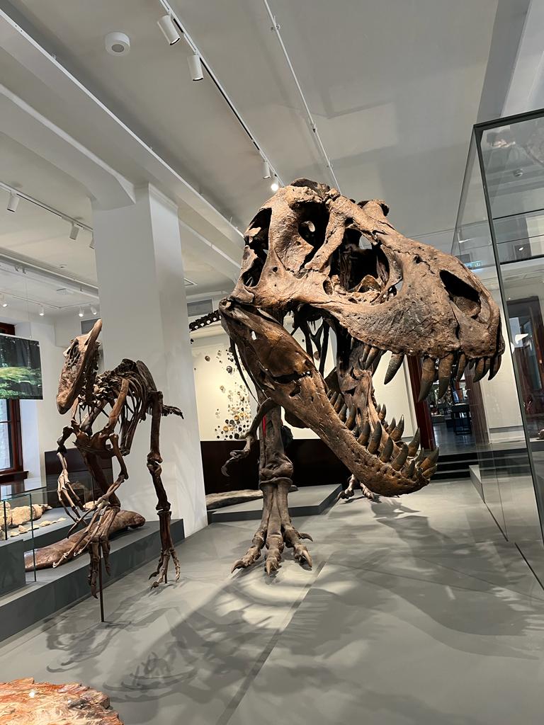 dinossauro no museu de história natural de oslo