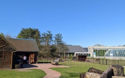 Centerparcs Limburgse: um tipo de hotel na Europa que é quase um hotel fazenda brasileiro